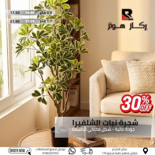 شجرة نبات الشلفيرا جودة عالية - شكل محاكي للطبيعة - Rekaz Home