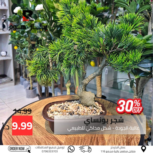 شجر بونساي عالية الجودة - شكل محاكي للطبيعي - Rekaz Home