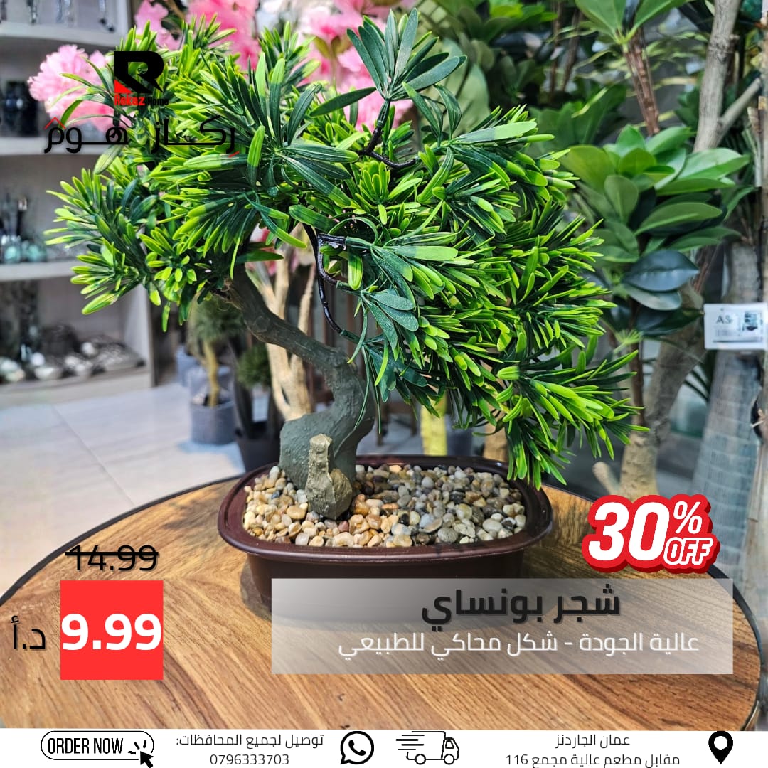 شجر بونساي عالية الجودة - شكل محاكي للطبيعي - Rekaz Home