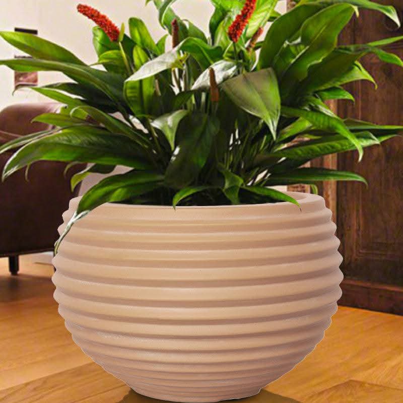 قوار زريعة 30 سم بلاستيك بيت المقدس - Rekaz Home